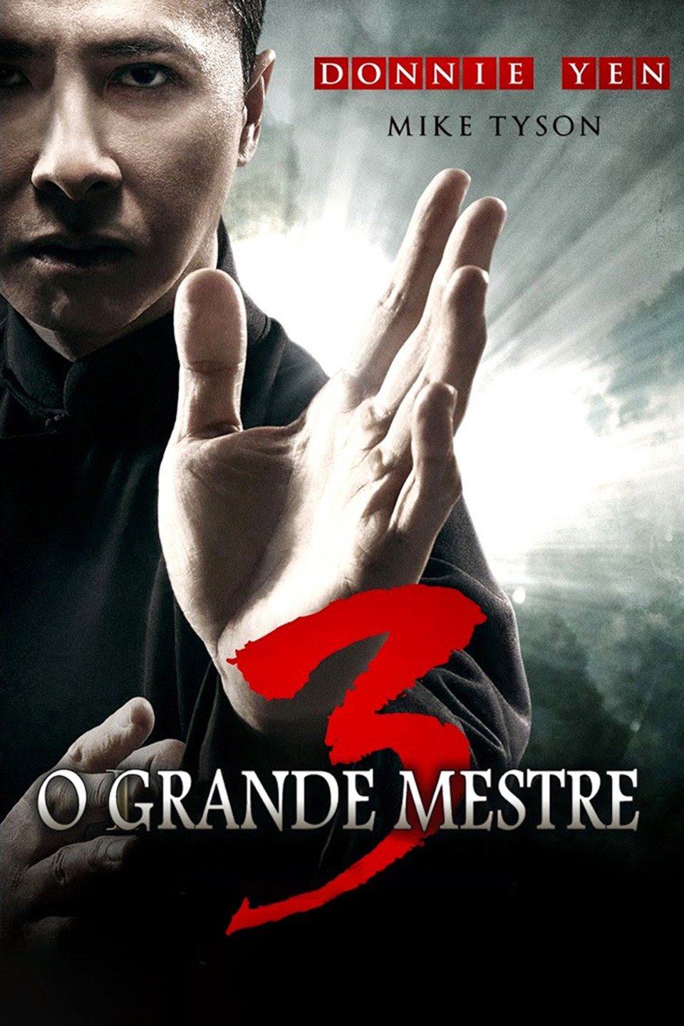 O Grande Mestre 4 (2020), Adoro Filme